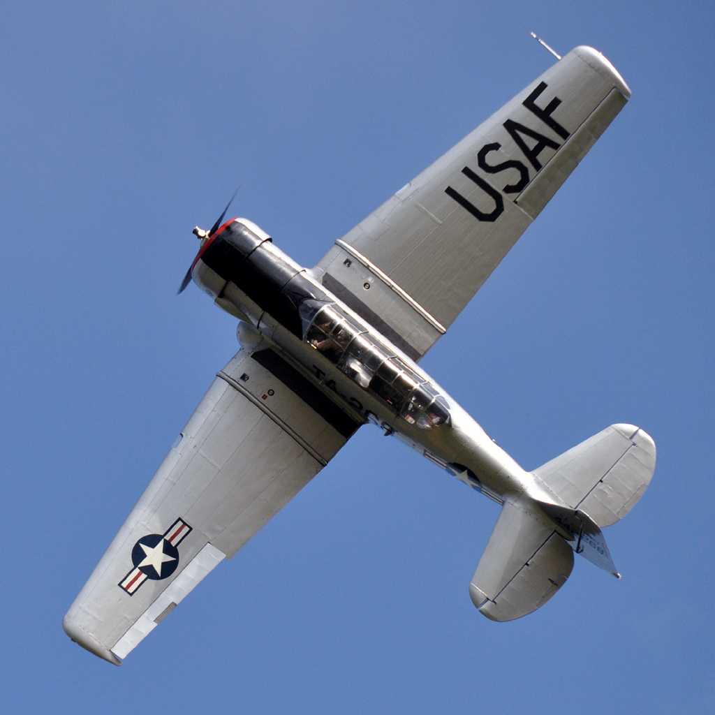 LN-TEX-001-1024.jpg