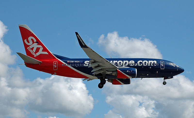 fly-279.jpg