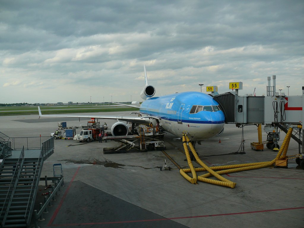 fly04.jpg