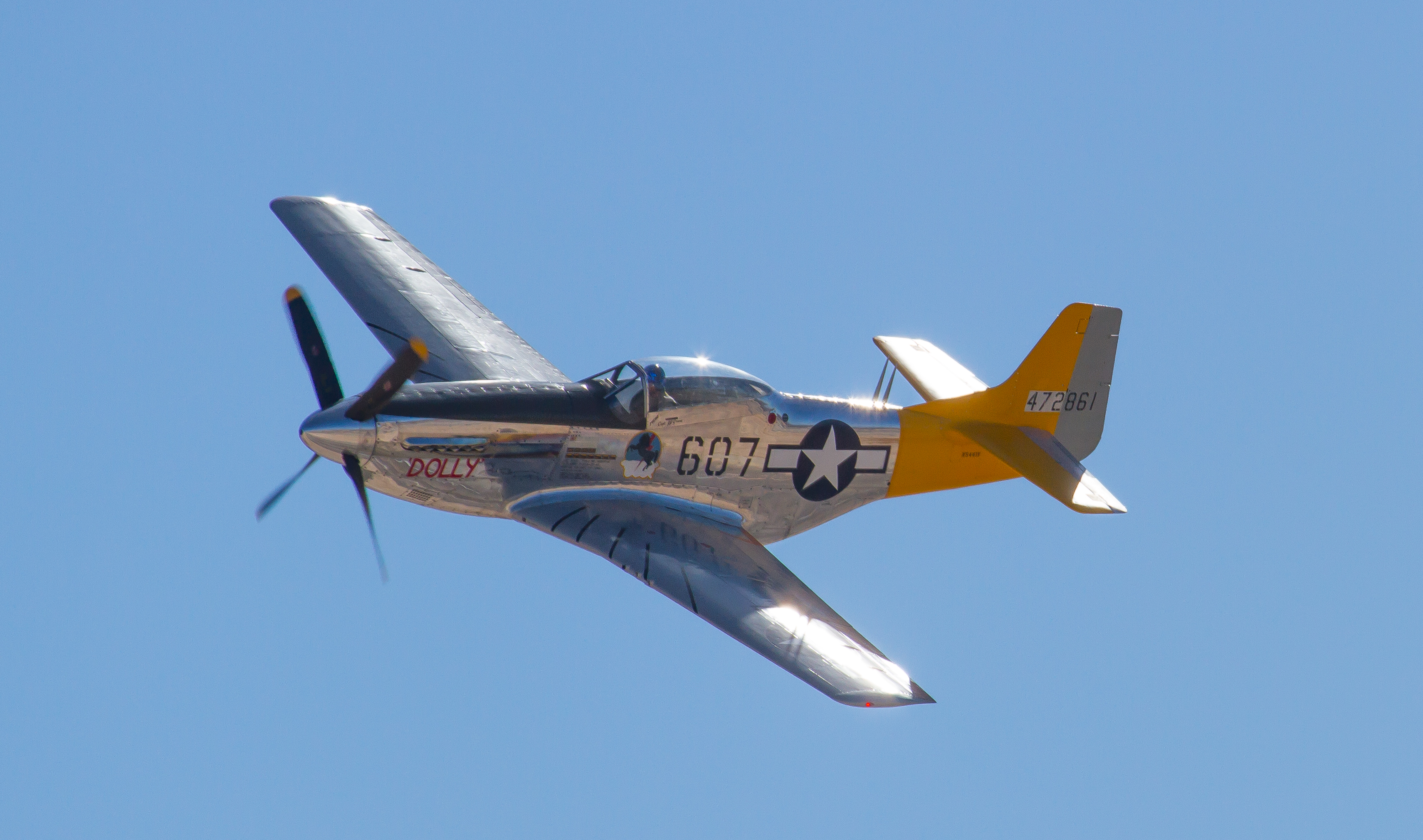 nellis39.jpg