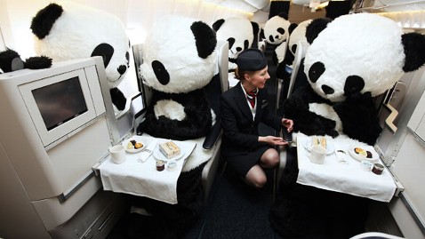 ht_british_airways_panda1_tk_130612_wblog.jpg