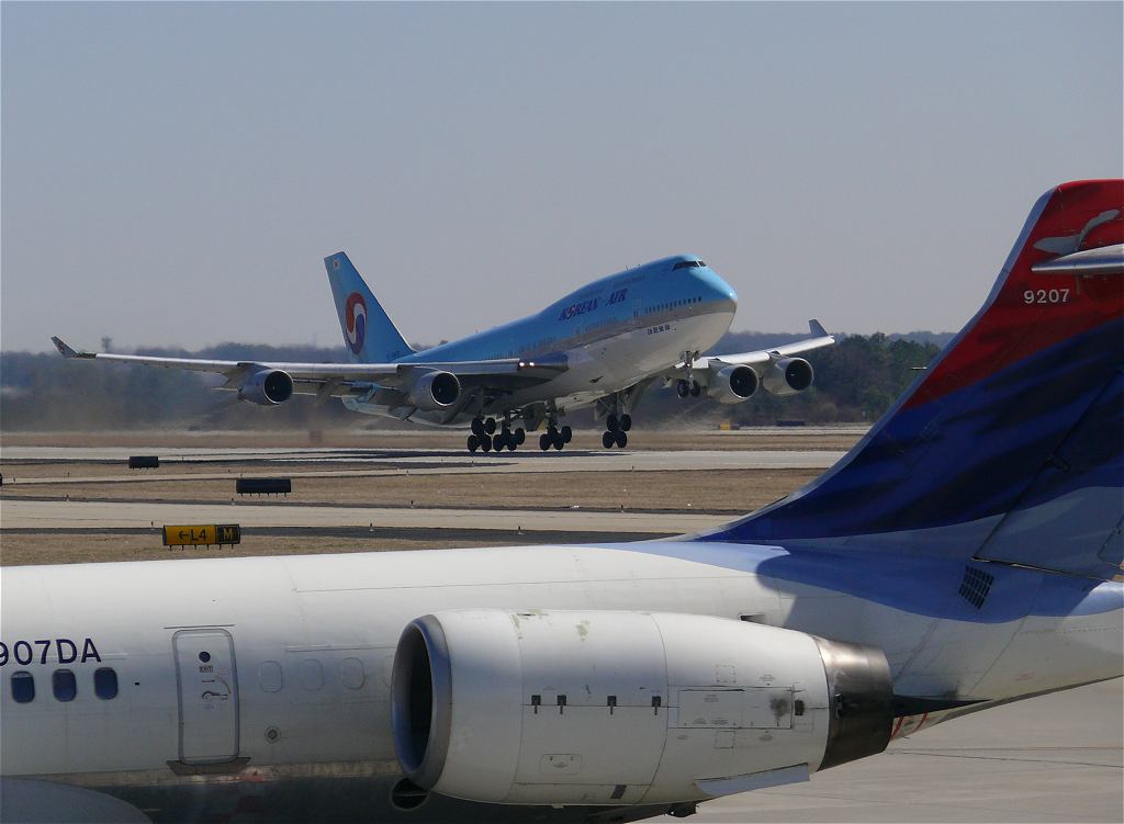 fly02.jpg