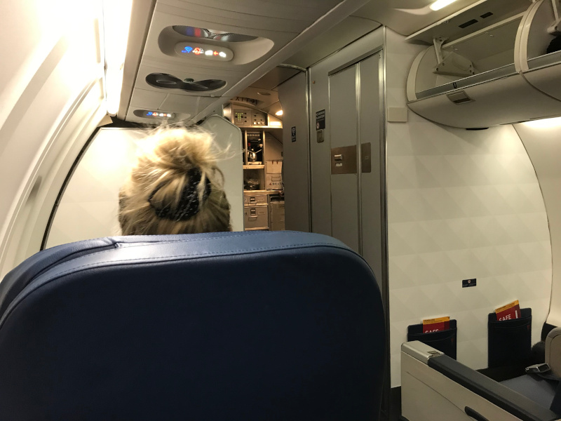 Delta2-Kabin.jpg