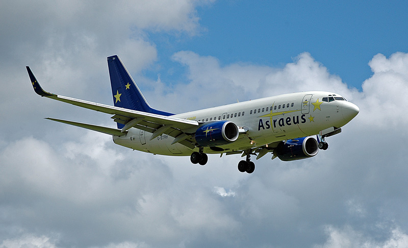 fly-228.jpg
