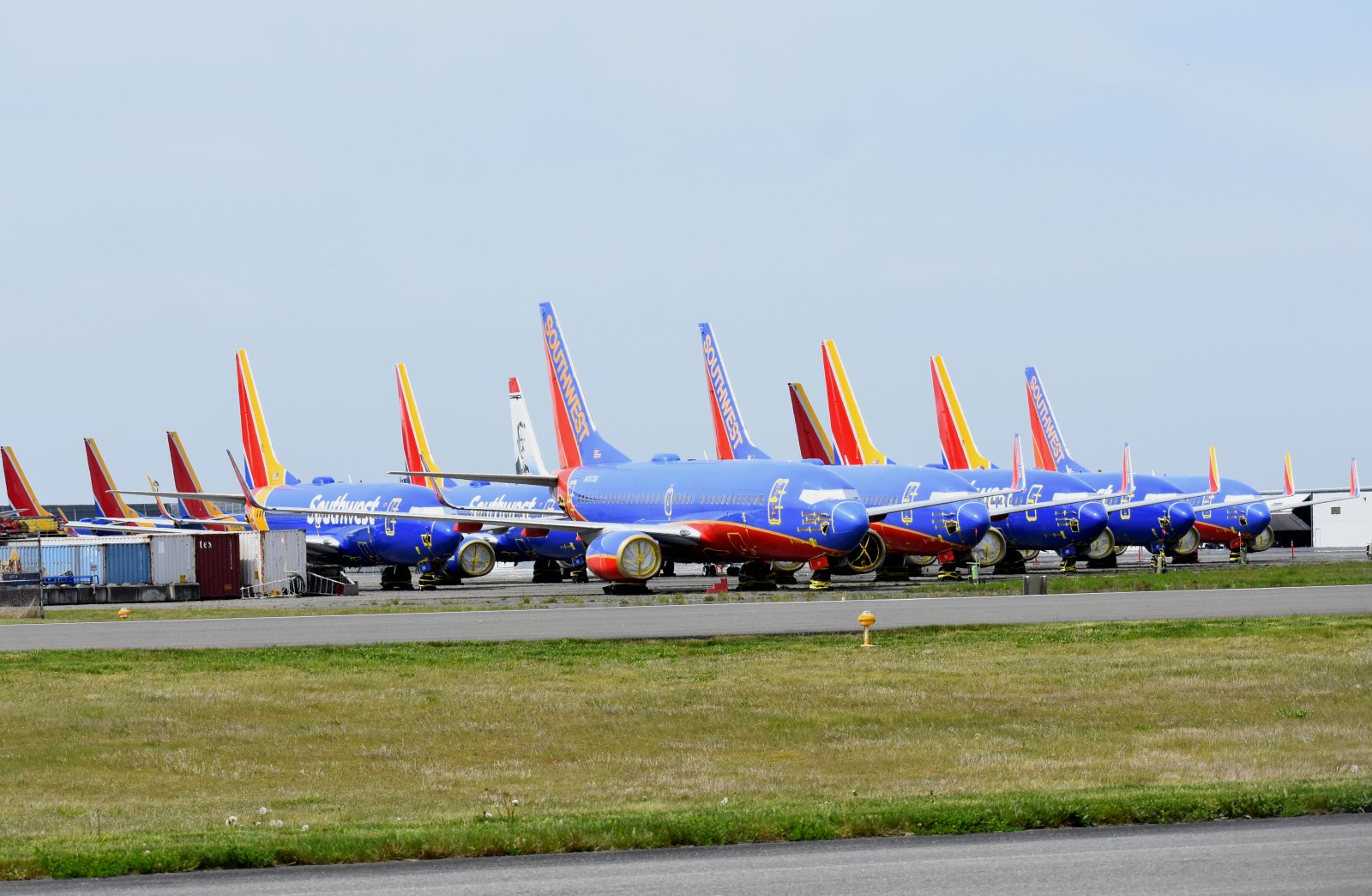 pae05.jpg