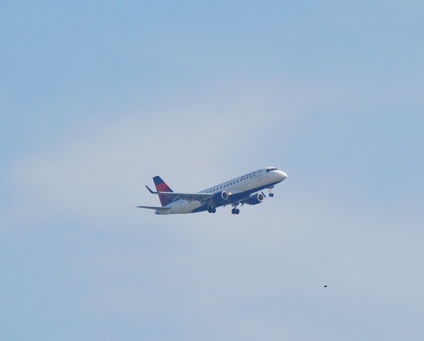 DSC_1994.JPG
