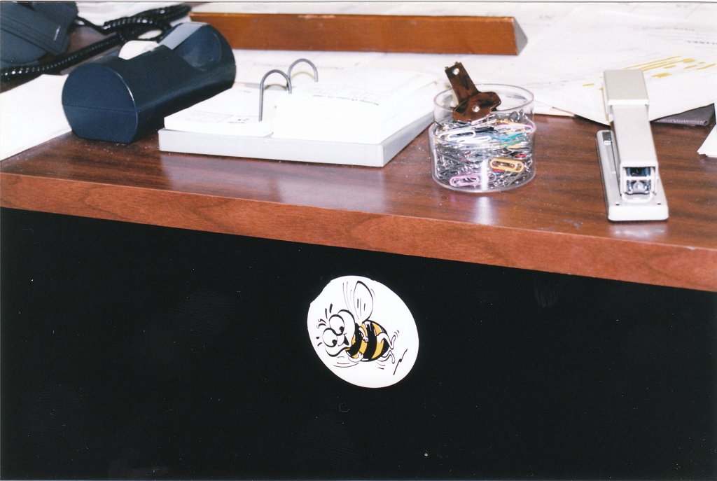 customs bee.jpg