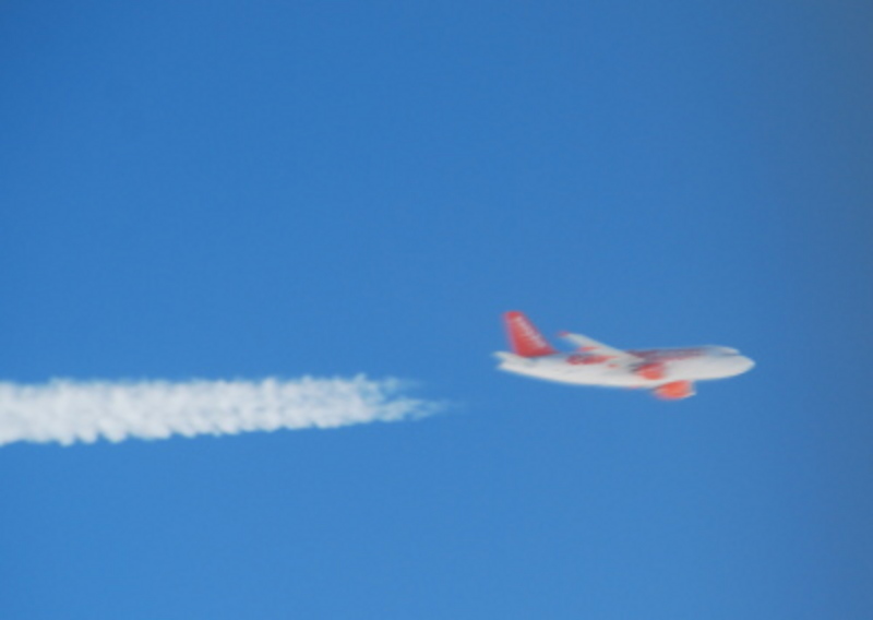 DSC_1100.JPG