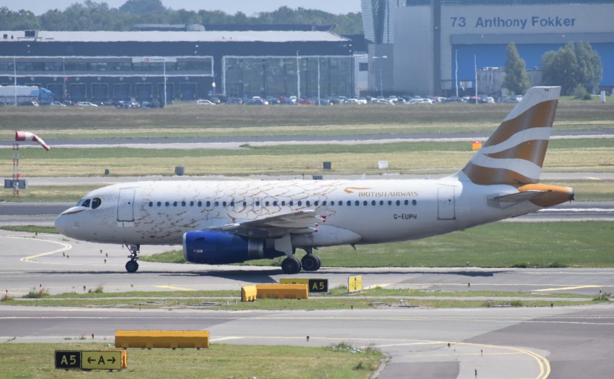 ams08.jpg