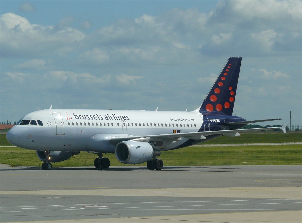 fly11.jpg