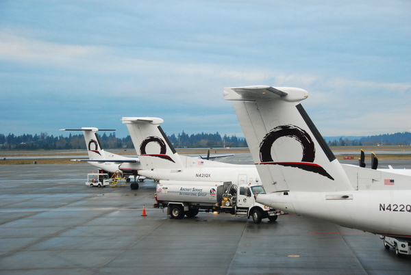 DSC_4592.JPG