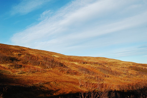 5036789363_9d6c5c64f0.jpg