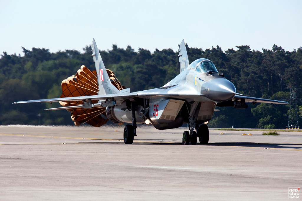 ILA%20(28).jpg