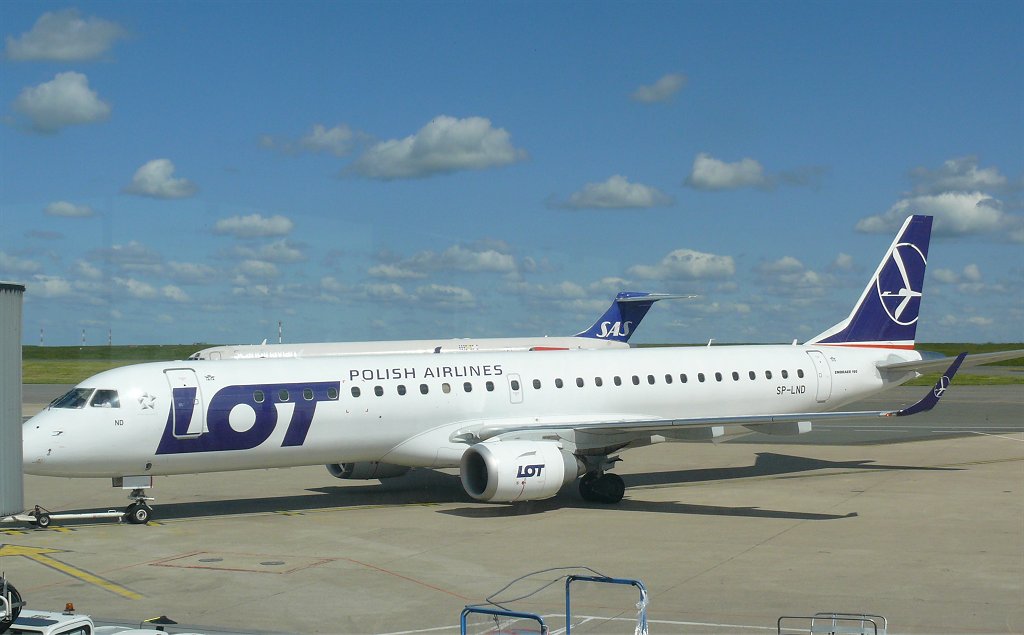 fly13.jpg