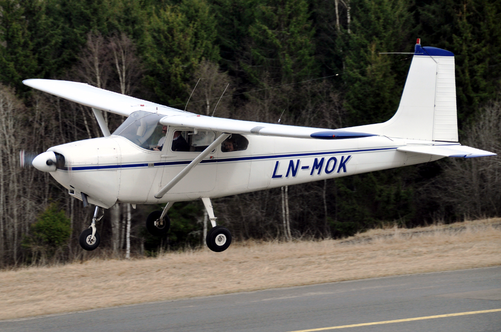 LN-MOK-002-1024.jpg
