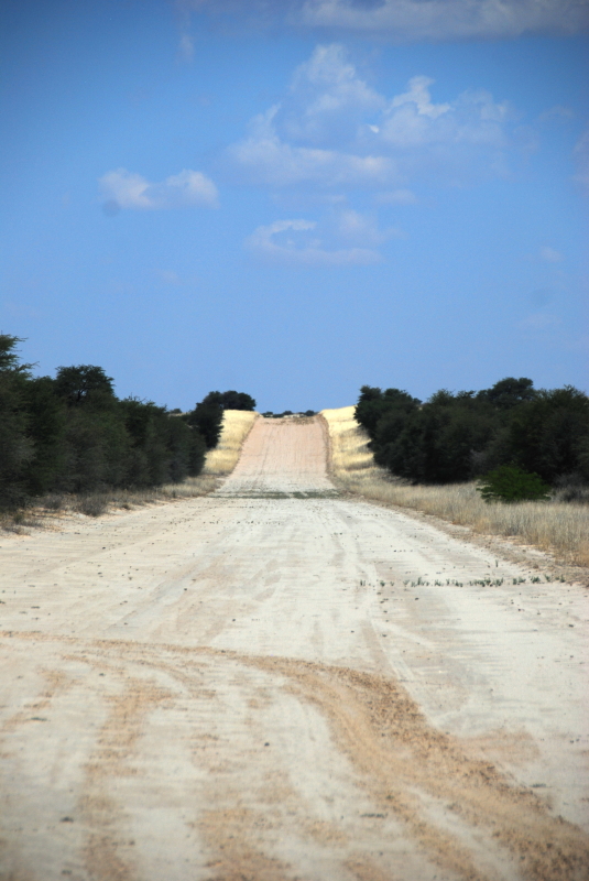 DSC_6971.JPG