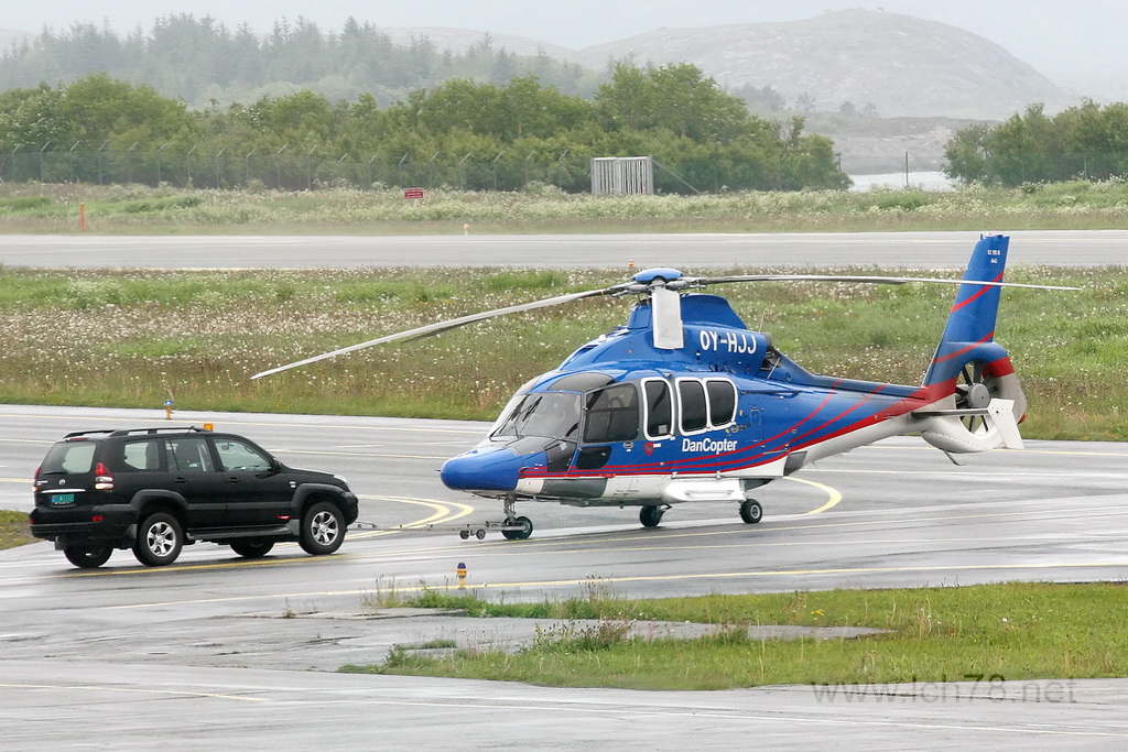 bnn10_5.jpg