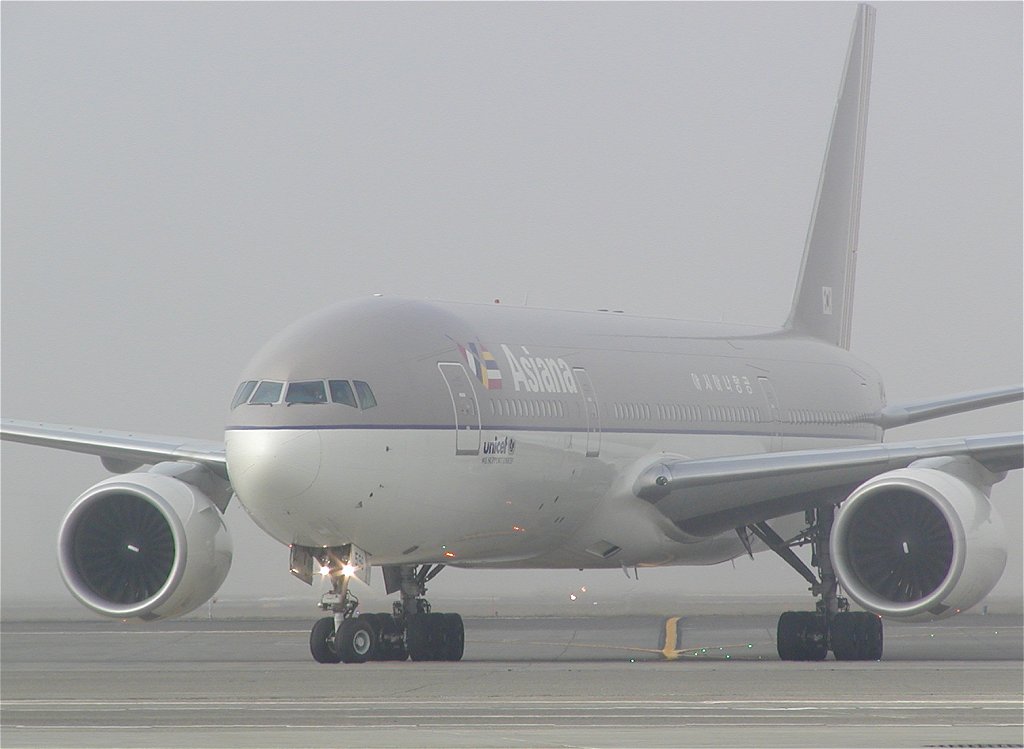 asiana.jpg