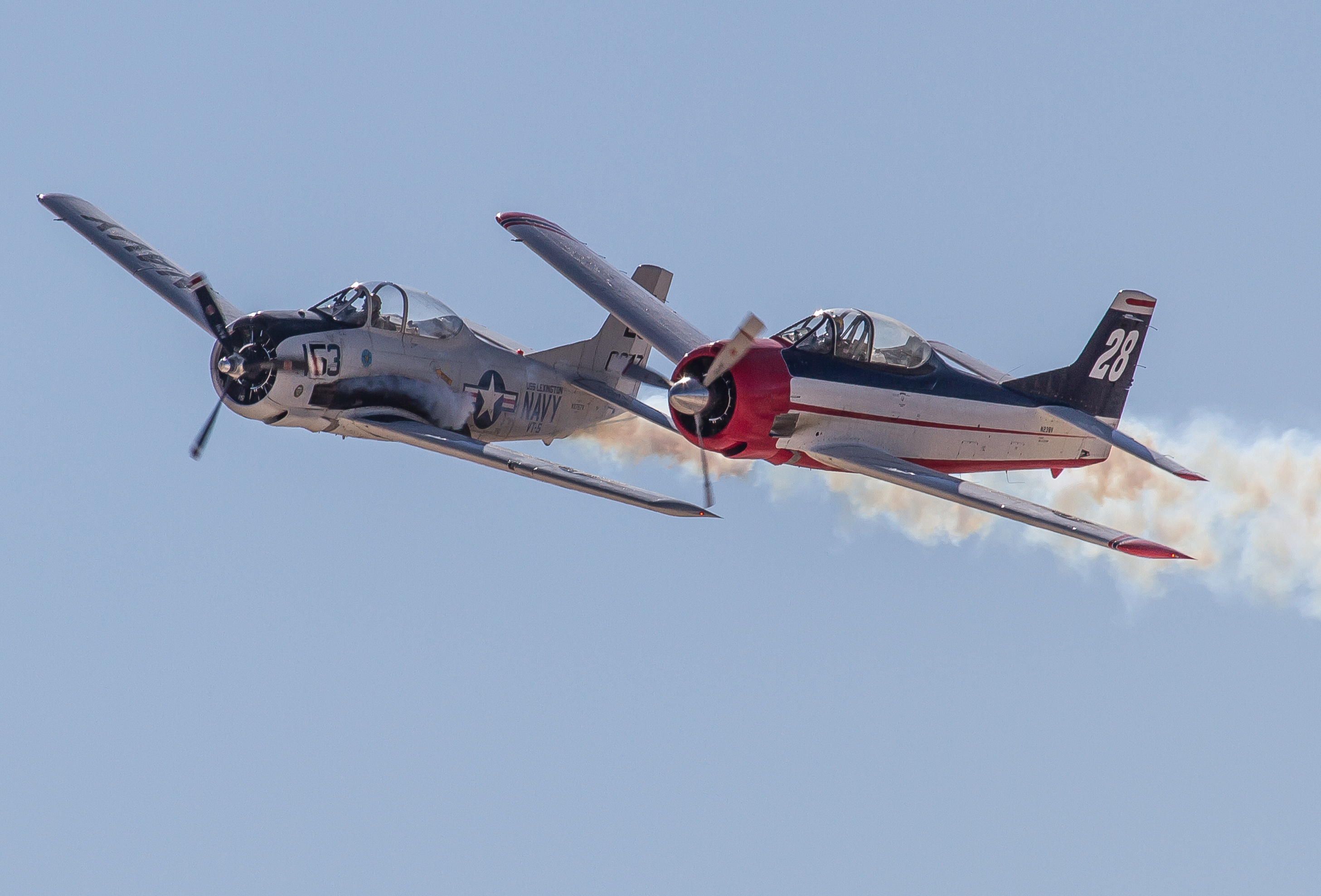 nellis41.jpg