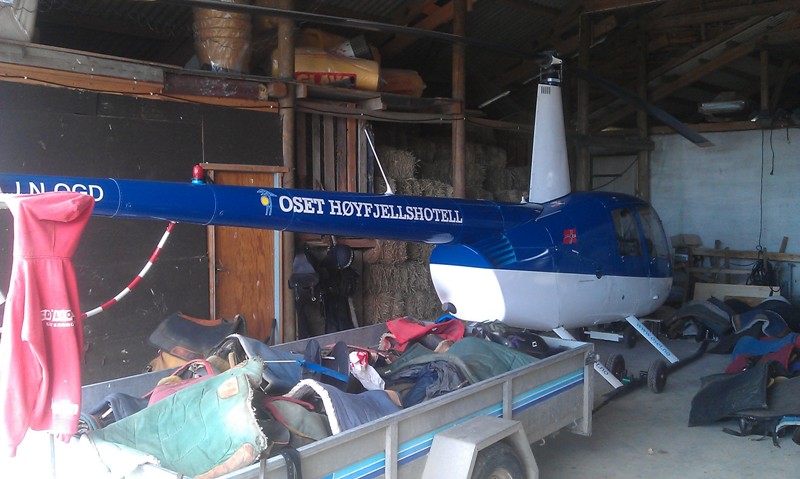 IMAG0142-800.jpg