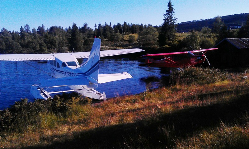 IMAG0144-800.jpg