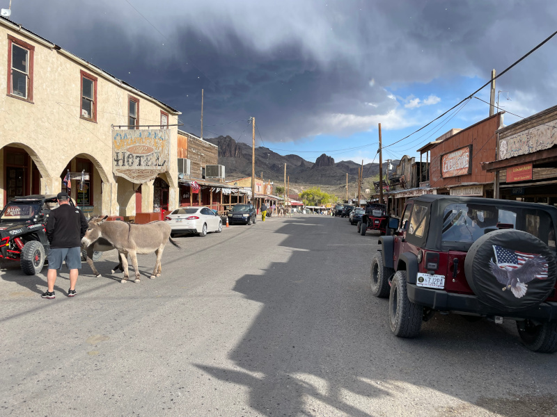 10-Oatman2.jpg
