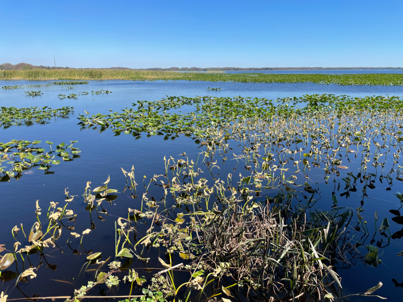17-Lake-Istokpoga2.jpg