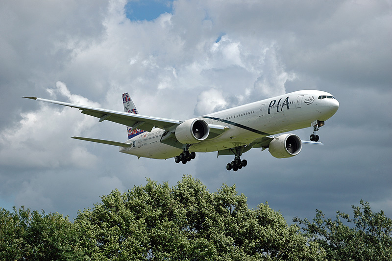 fly-243.jpg