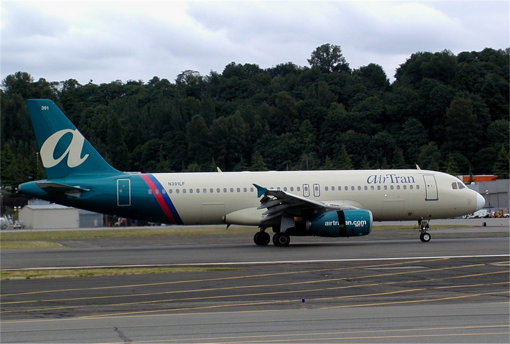 cha08.jpg