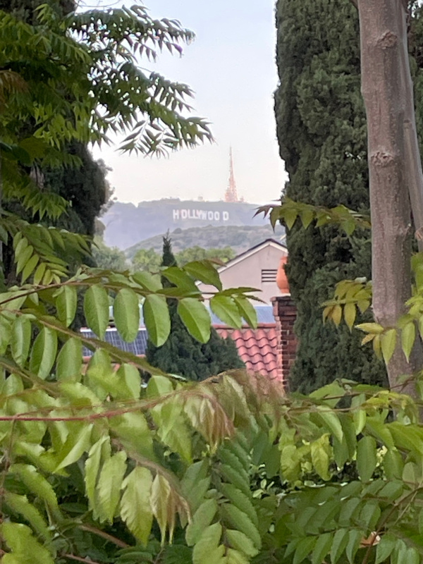 13-Hollywood.jpg