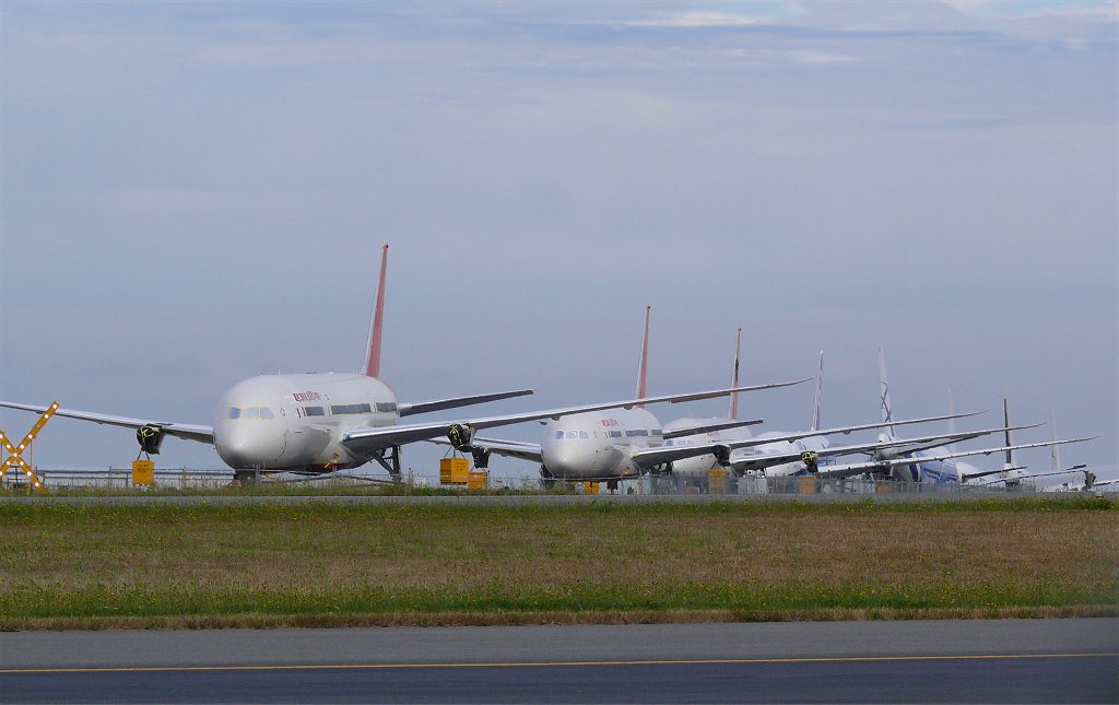 pae03.jpg