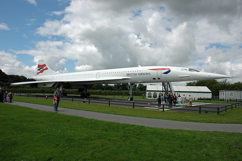fly-127.jpg