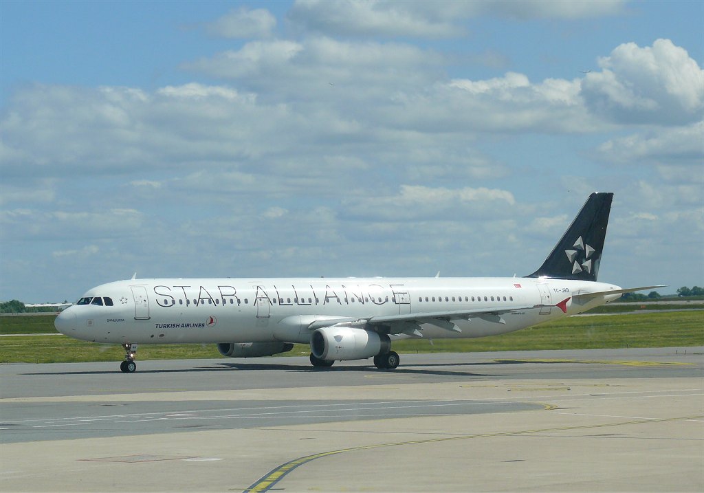 fly15.jpg