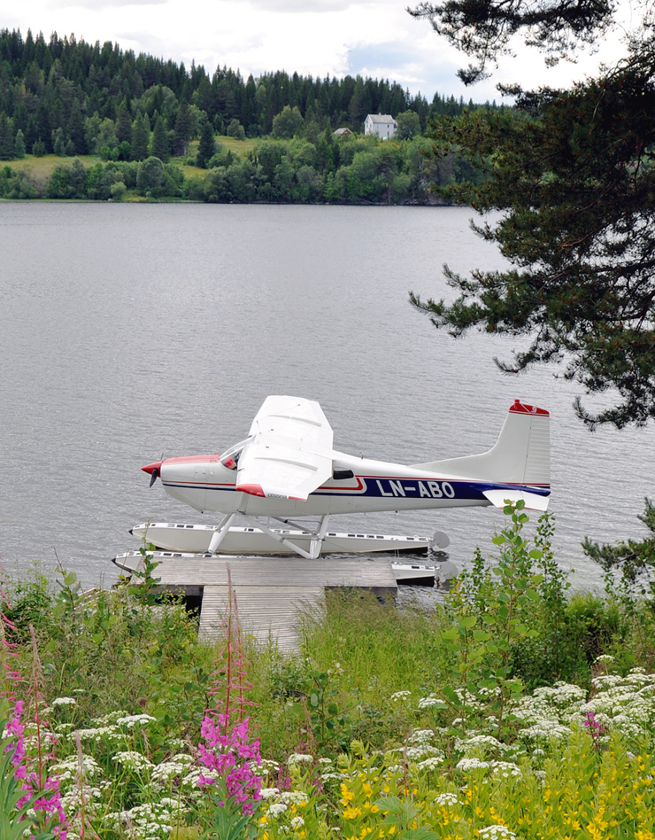LN-ABO-05-740.jpg