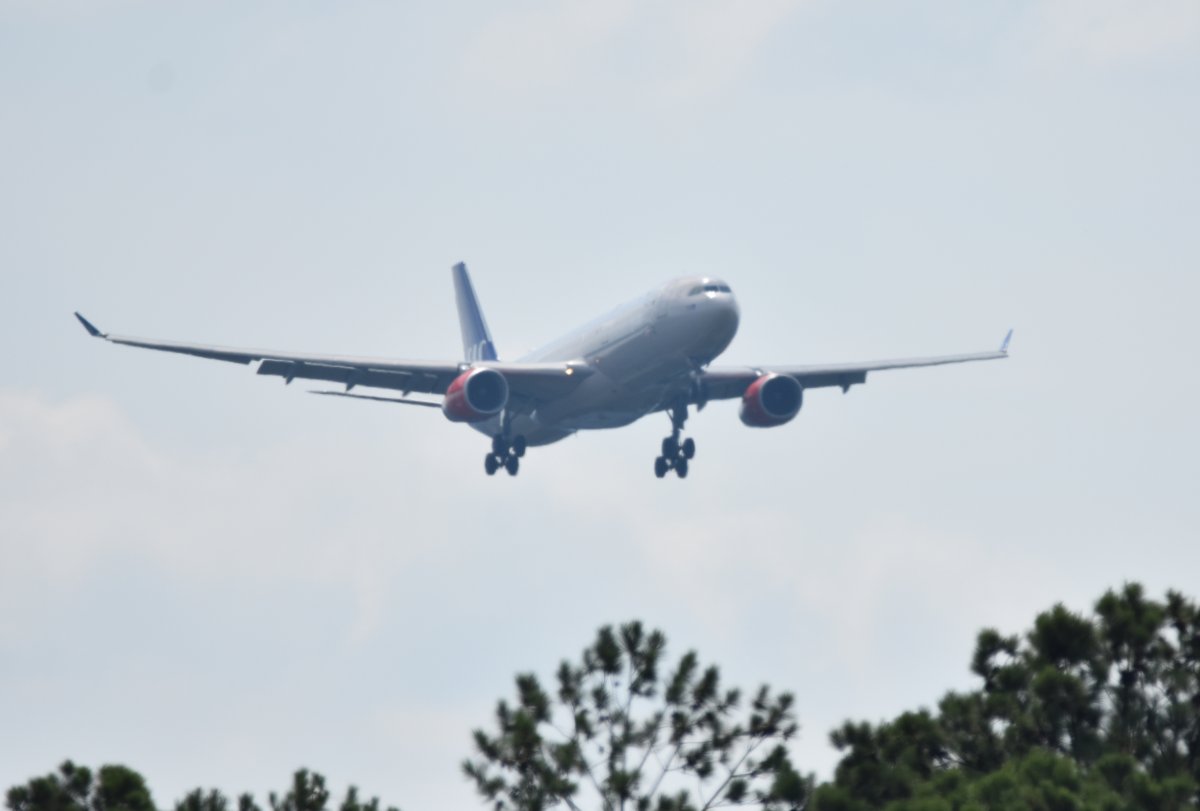 SAS01.jpg
