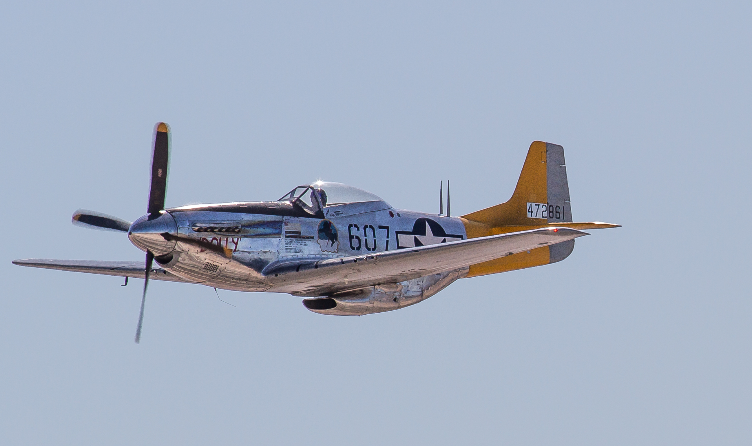 nellis42.jpg