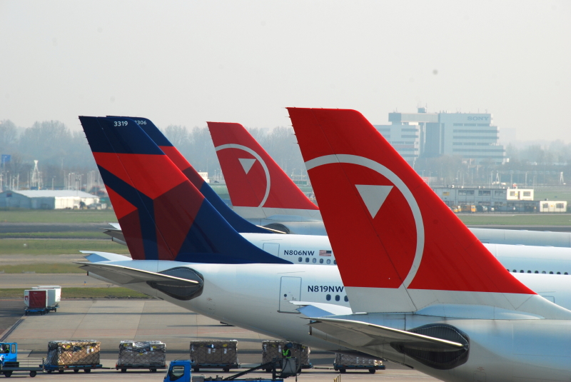 DSC_0806.JPG