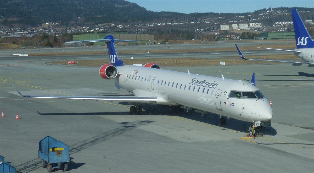 p11.jpg