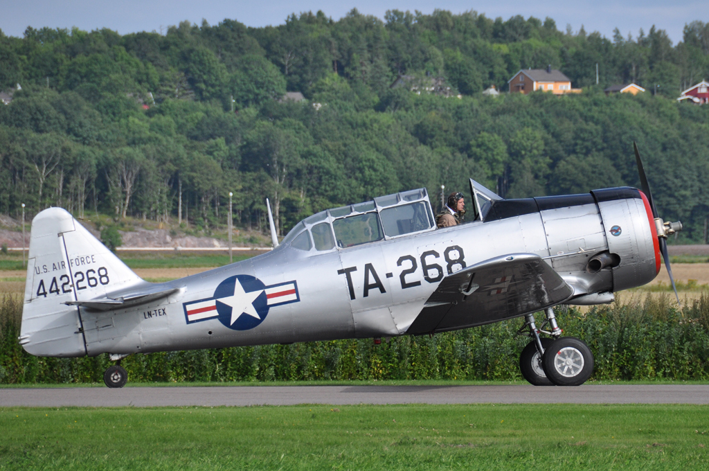 LN-TEX-002-1024.jpg
