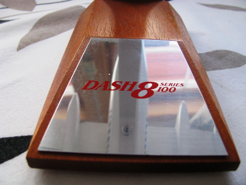 SAS-DASH8-100-2.jpg