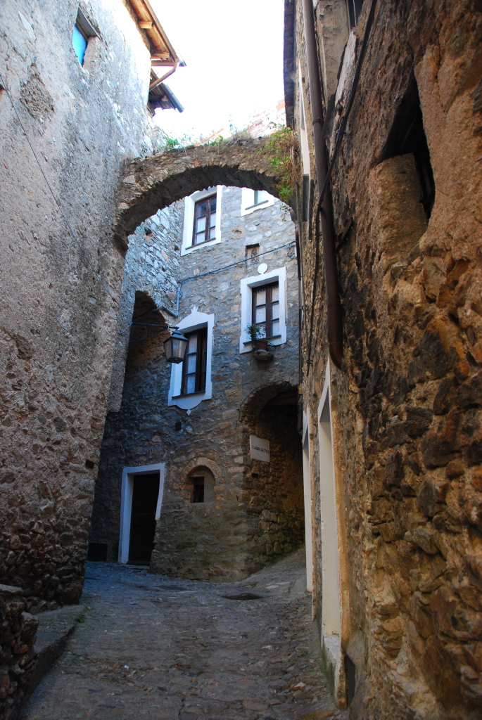 DSC_3592.JPG