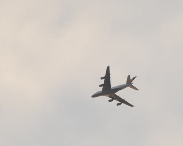 DSC_2743.JPG