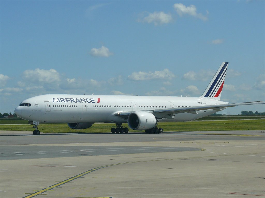 fly08.jpg