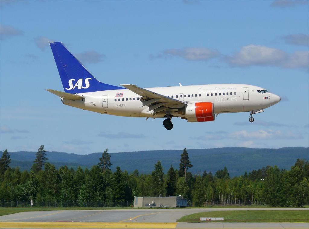 736.jpg