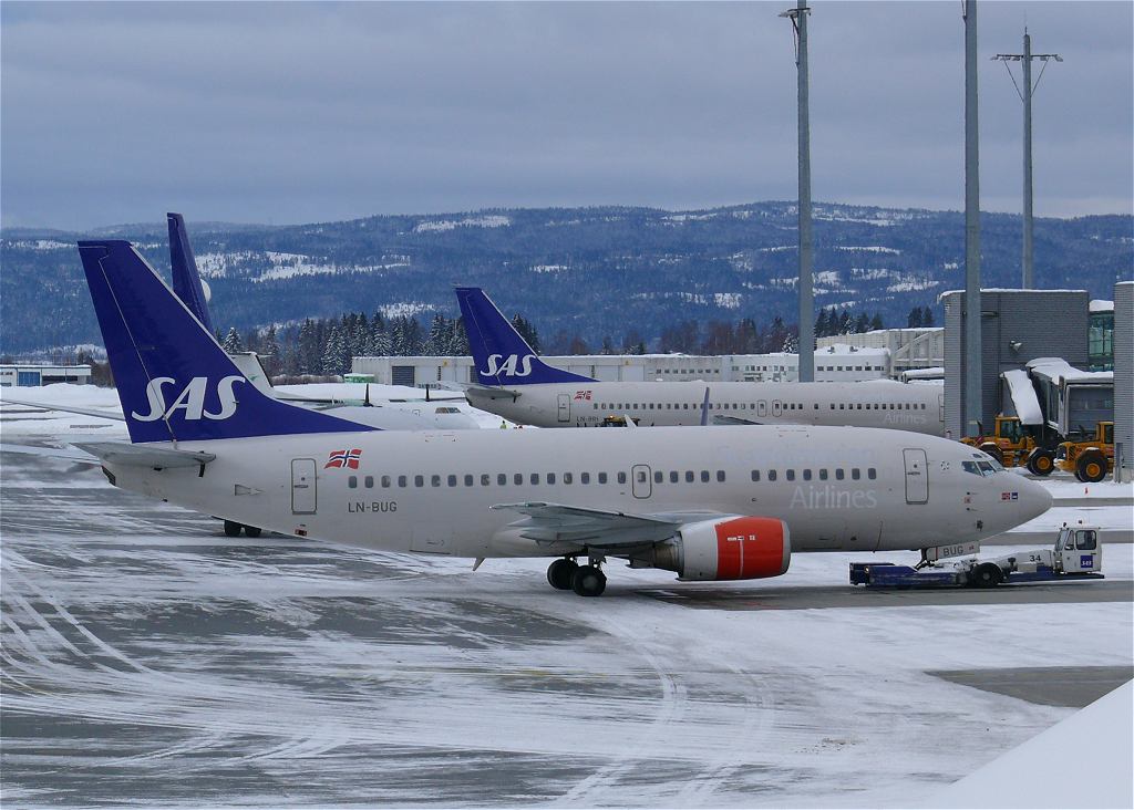 fly06.jpg